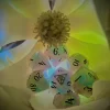 Pastel Butterfly